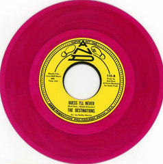 The Destinations - I Can't Leave You / Guess I'll Never album cover