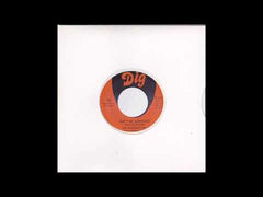 The Diamonettes - Don't Be Surprised/Rules Are Made To Be Broken - Japan 7’ Single Record