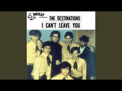 The Destinations - I Can't Leave You / Guess I'll Never album cover