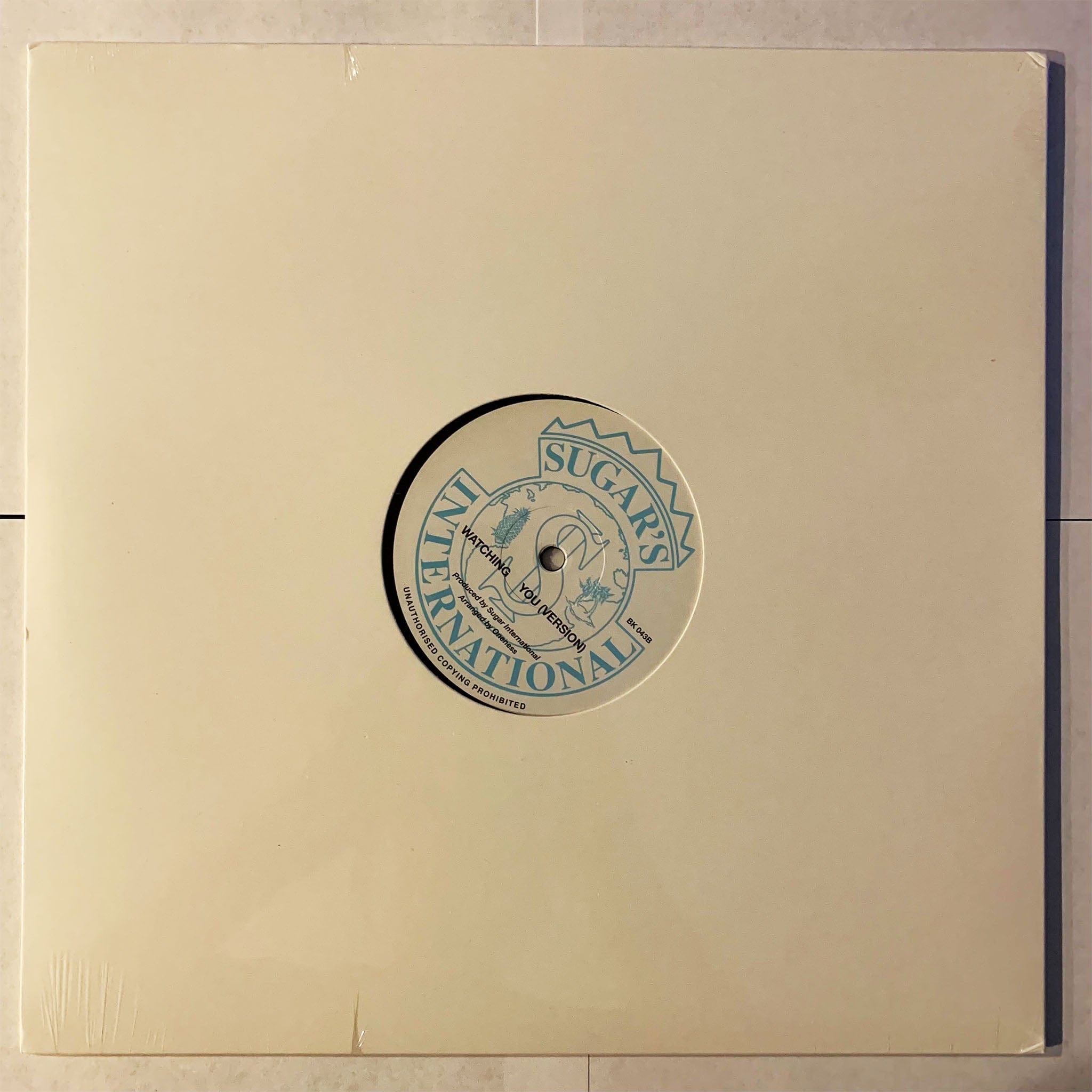 Oneness – Watching You - Duboski Art Collaborative